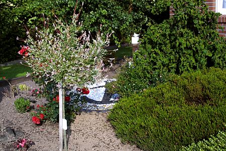 Foto aus der Fotogruppe 