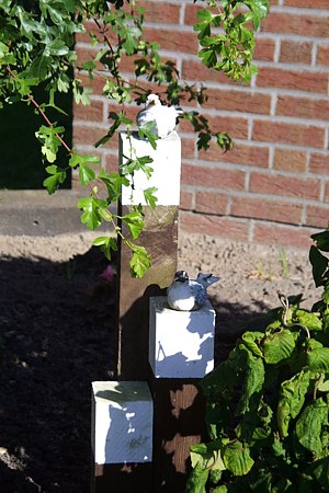 Foto aus der Fotogruppe 